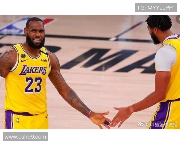 湖人对阵山猫精彩直播回顾与赛后分析全方位解读比赛亮点