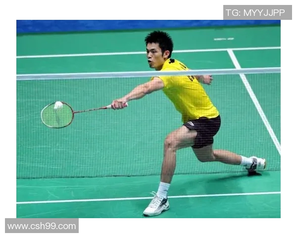 重庆羽毛球队在世界杯中的战术表现分析与启示