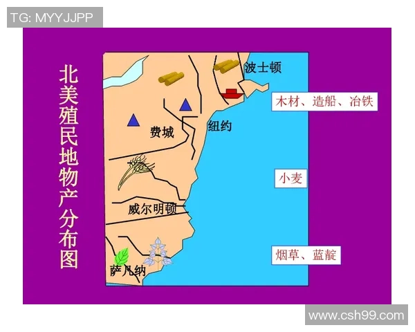 一国独立与十六国联手的较量与思考：历史与未来的交汇点