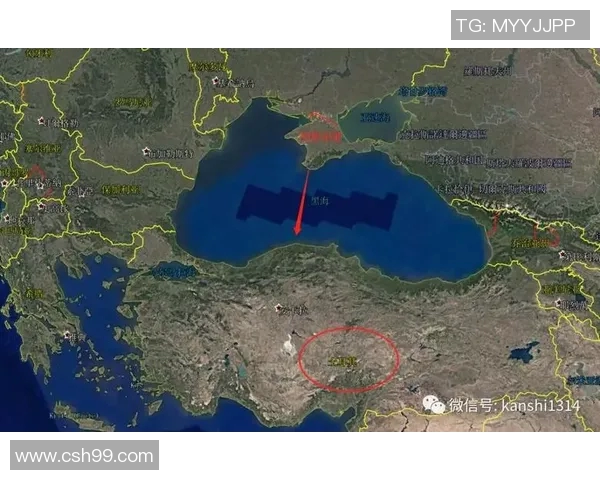 俄罗斯与沙特比赛赔率分析及球队实力对比探讨